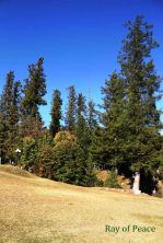 remembering banjosa lake.jpg